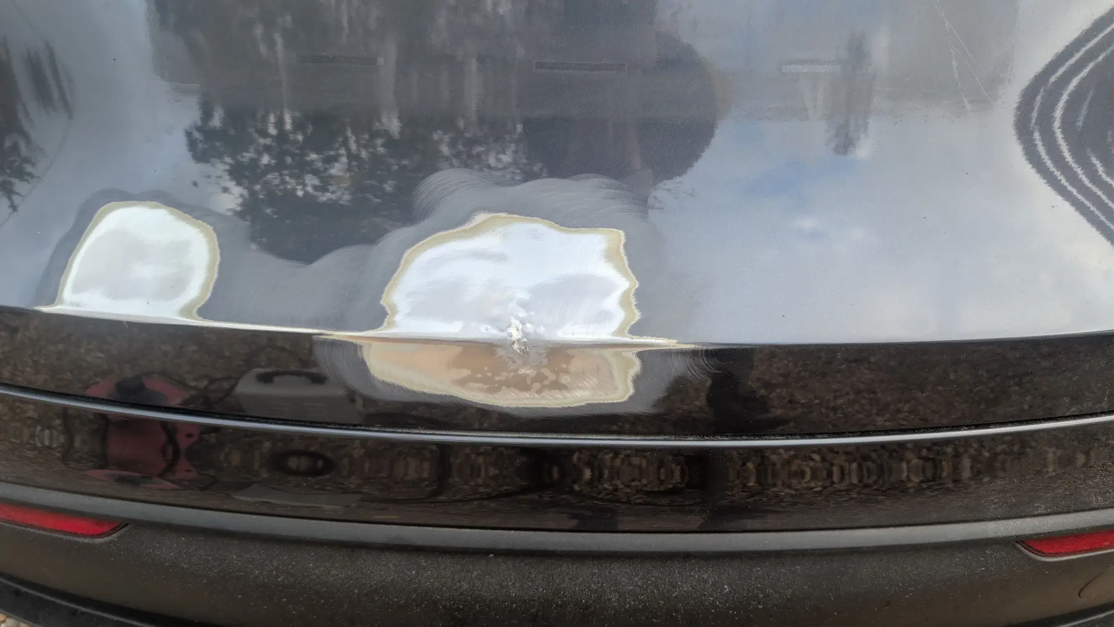 Repair area on a Tesla bumper smoothed and ready for refinishing
